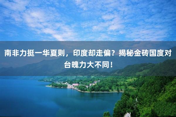 南(nán)非力挺一(yī)華夏則，印度卻走偏？揭秘金(jīn)磚國(guó)度對(duì)台魄力大(dà)不(bù)同！