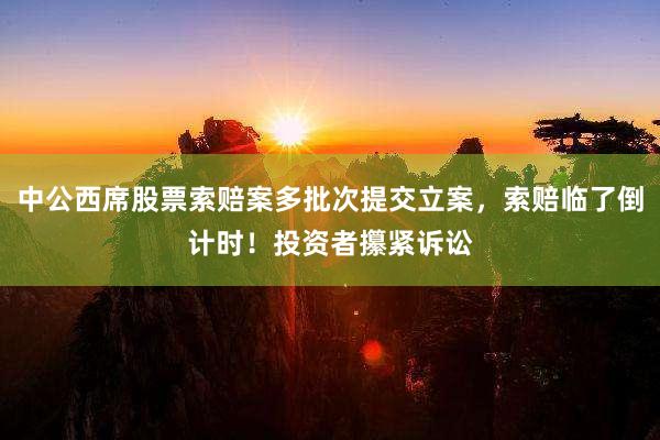 中公西(xī)席股票(piào)索賠案多(duō)批次提交立案,索賠臨了(le)倒計(jì)時(shí)!投資者攥緊訴訟