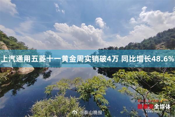 上(shàng)汽通(tōng)用(yòng)五菱十一(yī)黃(huáng)金(jīn)周實銷破4萬 同比增長(cháng)48.6%